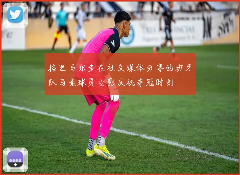 格里马尔多在社交媒体分享西班牙队马竞球员合影庆祝夺冠时刻